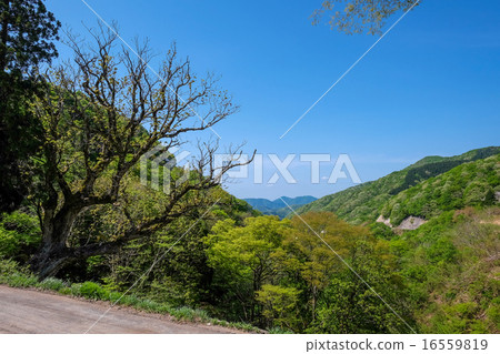 Tochinogi Pass(滋賀縣長濱市,Yuku-cho,Nagahachi) Tochinogi Pass(滋賀縣長濱市,Yuku-cho,Nagahachi) 16559819