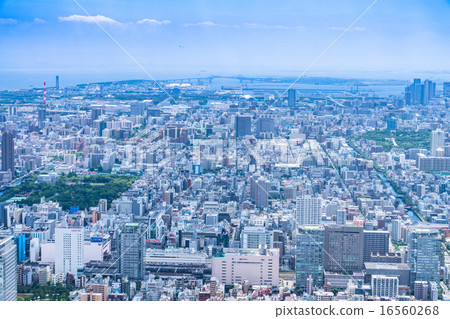 Tokyo cityscape 16560268