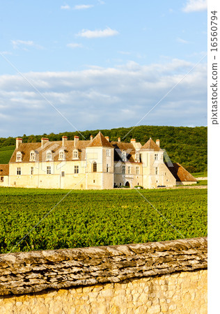 Clos Blanc De Vougeot Castle, Burgundy, France Clos Blanc De Vougeot Castle, Burgundy, France 16560794