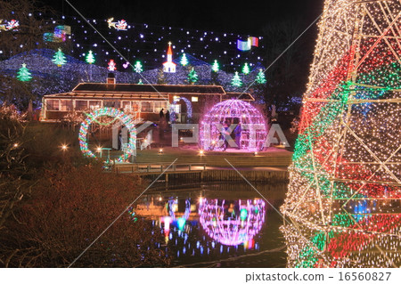 Ashikaga Flower Park Illuminations 16560827