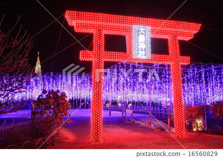 足利花卉公園照明 16560829