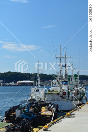 美崎港 16560920