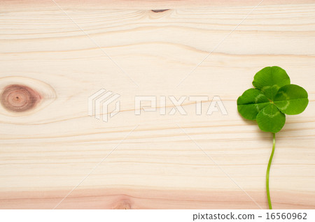 Four leaves placed on a cedar board connected Four leaves placed on a cedar board connected 16560962