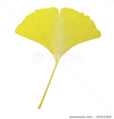 銀杏（水彩風格） 16561008