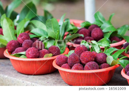 Fresh waxberry in the basket 16561009