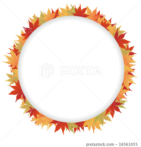 秋天的樹葉 16561055