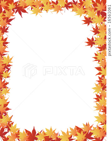 秋天的樹葉 16561061