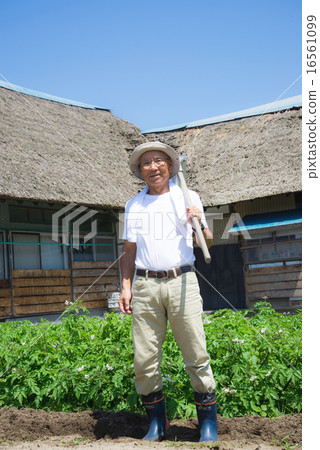 住在鄉下的老人在做農業的時候帶著微笑生活 16561099