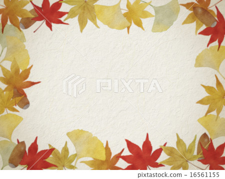 銀杏和紅葉 16561155