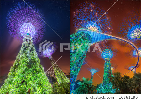 Collage of Supertree at Gardens by the Bay, Singapore 16561199