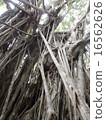 Bajumaru 16562626