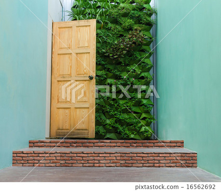 Beautiful Hidden Painted Peeling Door to Home Beautiful Hidden Painted Peeling Door to Home 16562692