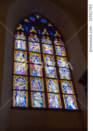 Stained glass (Estonia · Tallinn) 16562763