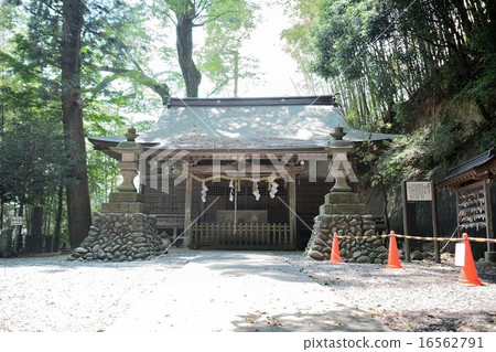 櫻花Kitsuregawa神社 16562791
