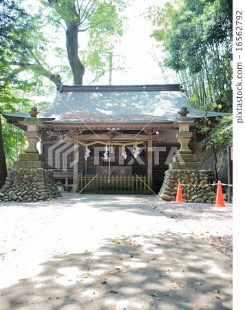 Sakura shi Kitsuregawa Shrine 16562792