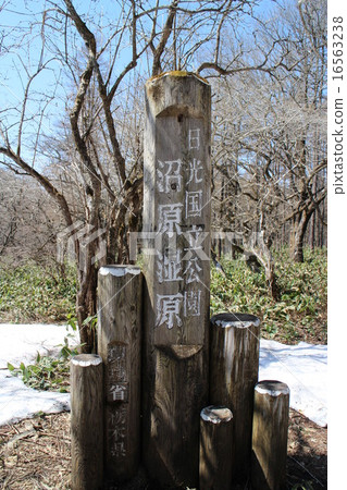 Numawaru泥潭 16563238