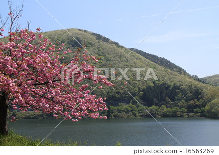 kamafusako, artificial lake, water jug 16563269