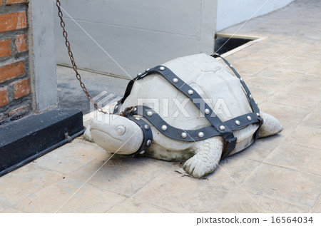 turtle stone put on a rock belt 16564034