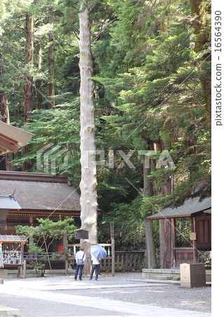 Su訪Taisha Shunkan 16564390