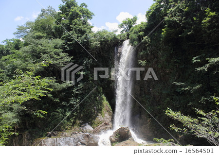 Takeshi Valley (Hakusan City, Ishikawa Prefecture) 16564501