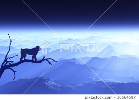 Sunrise and a monkey 16564597