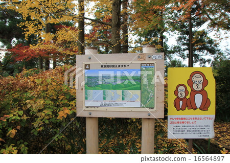 Mount Takao Mount Takao 16564897