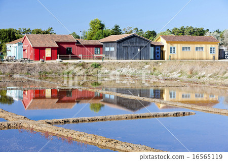 saline, Port des Salines, Oleron Island 16565119
