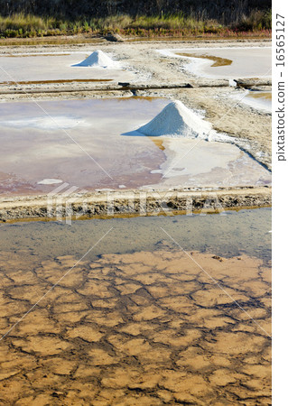 saline, Port des Salines, Oleron Island 16565127