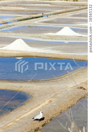saline, Port des Salines, Oleron Island saline, Port des Salines, Oleron Island 16565132