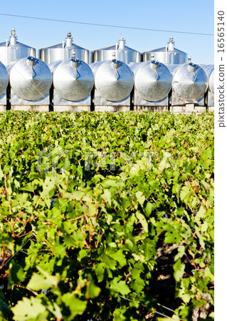 fermentation tanks, Begadan, Bordeaux Region fermentation tanks, Begadan, Bordeaux Region 16565140