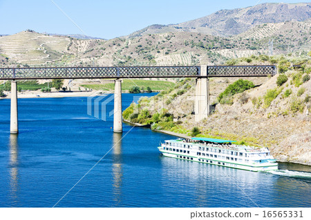 Pocinho, Douro Valley, Portug 16565331