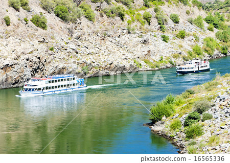 cruise ships in Douro Valley, Portugal 16565336