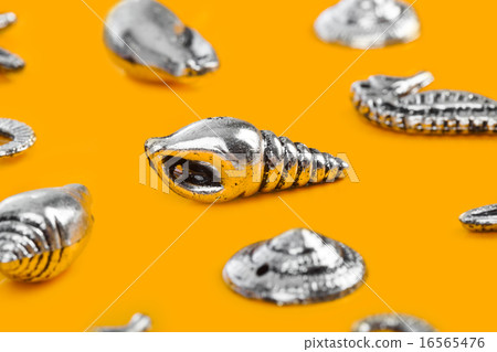 Sea conches - beach background 16565476