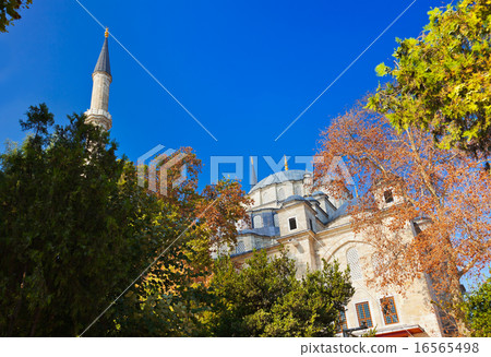 Fatih mosque in Istanbul Turkey 16565498