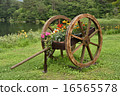 花車 16565578