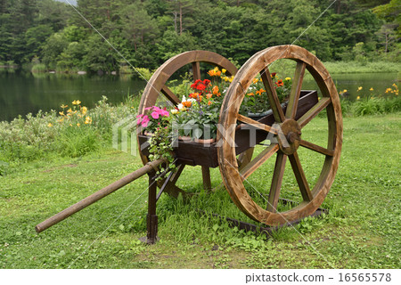 花車 花車 16565578