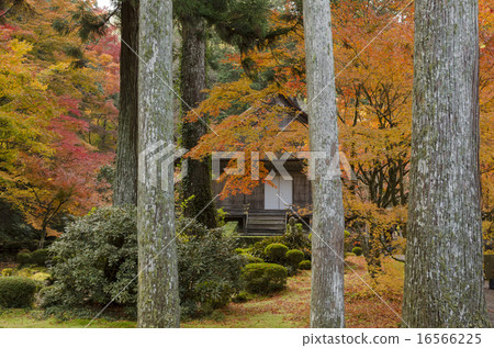 京都Ohara Sansenin秋葉 16566225