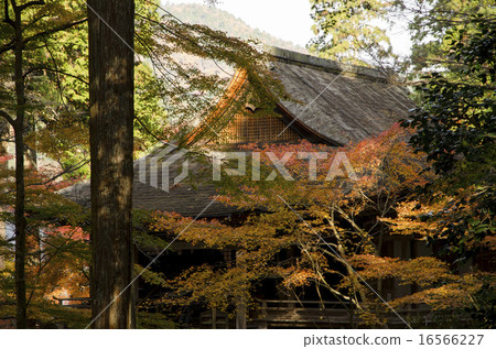 京都Ohara Sansenin秋葉 16566227