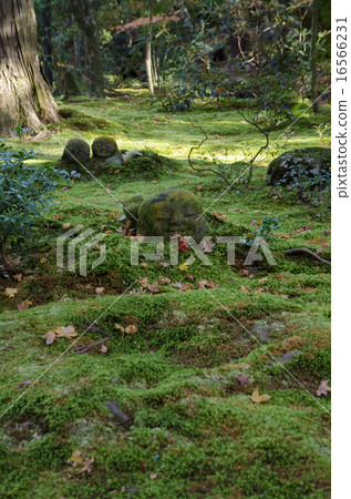 京都Ohara Sanzenin 16566231