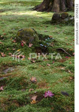 Kyoto Ohara Sanzenin 16566232