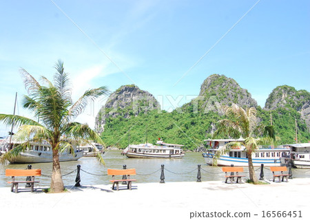 Vietnam Halong Bay - 28 Vietnam Halong Bay - 28 16566451