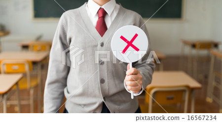 A student 16567234