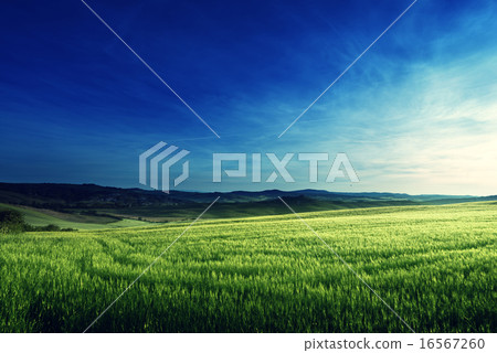 spring sunset in Tuscany, Italy 16567260