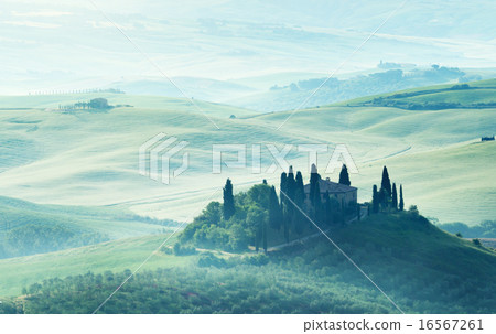 Early spring morning in Tuscany, Italy 16567261
