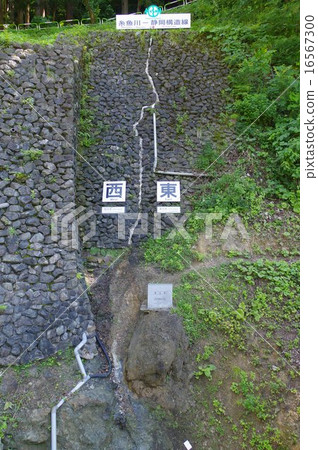 新潟Itoigawa地質公園Fossa Magna斷層露頭（Itoigawa Shizuoka結構線） 16567300