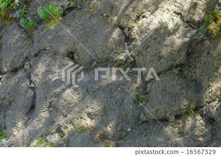 Outbreak expansion of Niigata Itoigawa geopark pillow lava 16567329