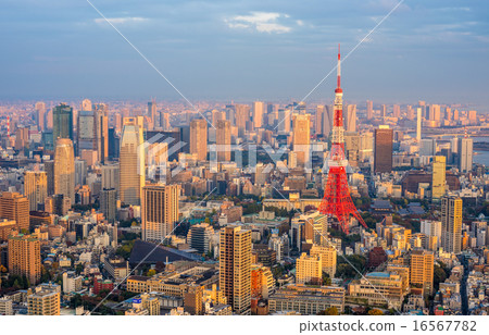 Tokyo aerial panoramic view 16567782
