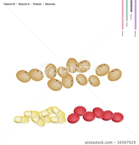Soybean with Vitamin B, K Protein and Minerals Soybean with Vitamin B, K Protein and Minerals 16567829