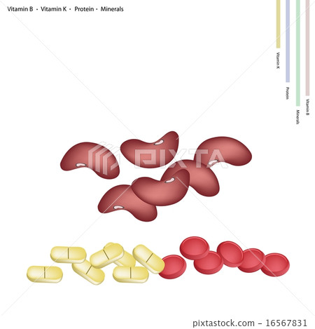 Kidney Bean with Vitamin B, K Protein and Minerals 16567831