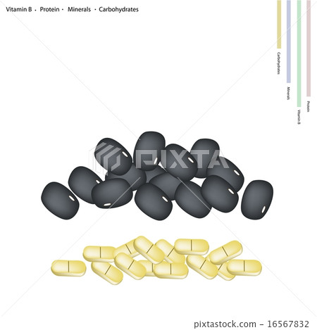 Black Bean with Vitamin B, Protein, Minerals 16567832